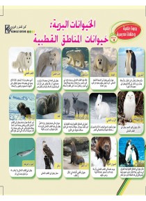 Les animaux sauvages: Animaux des régions polaires «en langue arabe»