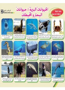 Les animaux sauvages: Animaux des mers et des océans «en langue arabe»