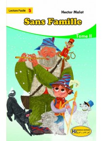Sans famille Tome 2