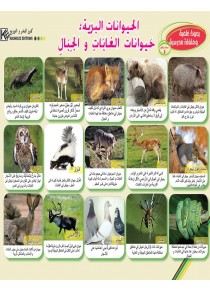 Les animaux sauvages: animaux du forêt et des montagnes «en langue arabe»