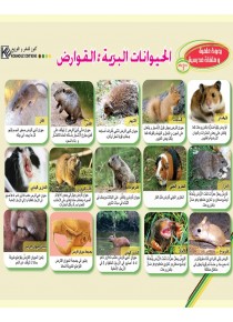 Les animaux sauvages: Rongeurs «en langue arabe»