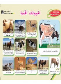 Les ruminants «en langue arabe»