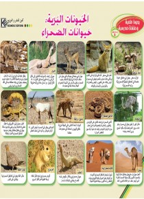 Les animaux sauvages: Animaux du désert «en langue arabe»