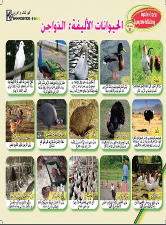 Les animaux domestiques: Volaille «en langue arabe»