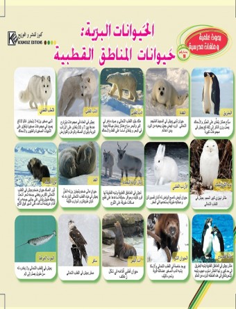 Les animaux sauvages: Animaux des régions polaires «en langue arabe»