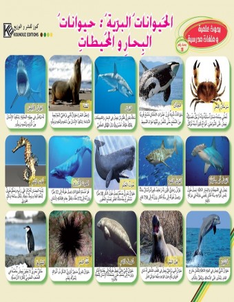 Les animaux sauvages: Animaux des mers et des océans «en langue arabe»