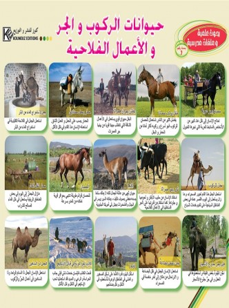 Animaux domestiques: animaux de trait «en langue arabe»