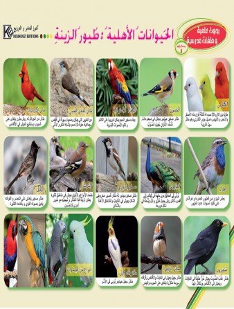 Animaux de compagnie: oiseaux de compagnie «en langue arabe»
