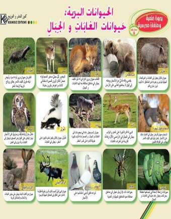 Les animaux sauvages: animaux du forêt et des montagnes «en langue arabe»
