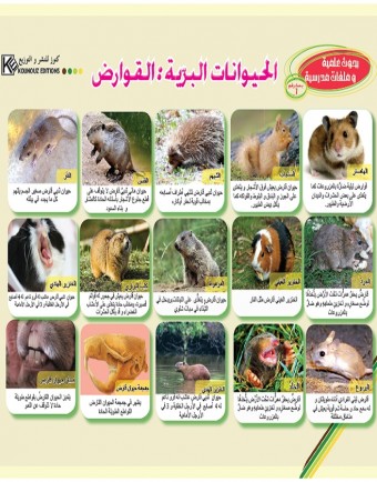 Les animaux sauvages: Rongeurs «en langue arabe»