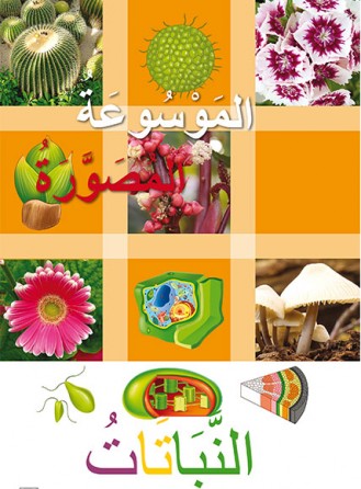 Les plantes « en langue arabe »